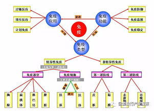 分享 pd 1免疫檢驗點單抗行業(yè)分析